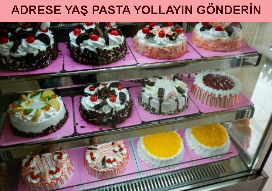 Erzincan Ergenekon Mahallesi Adrese yaş pasta yolla gönder