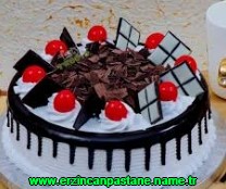 Erzincan Ergenekon Mahallesi çikolatalı yaş pasta yolla